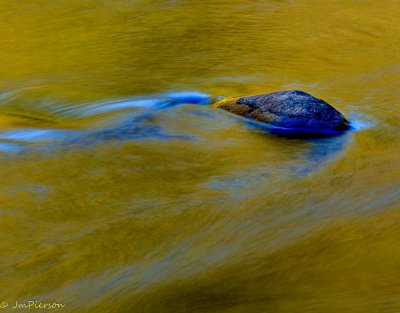 Pierson_2015_GSMNP-50818-Edit.jpg