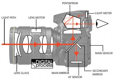 canon af chip.jpg