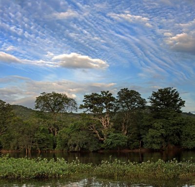 Clouds & river.jpg