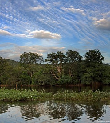 Clouds & river.jpg