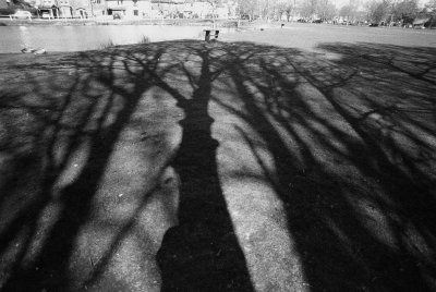 Shadows 01.jpg