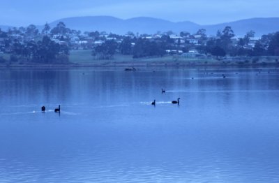 looking North across Derwent River.jpg