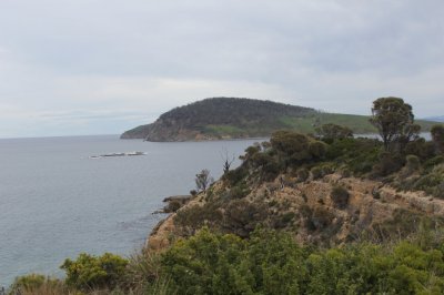 Wide angle view of Light Beacon.jpg