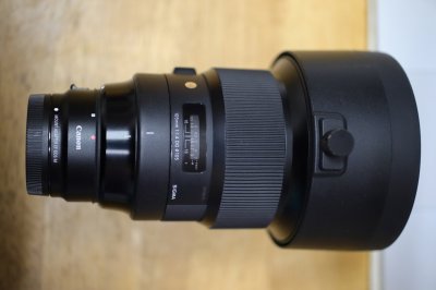 sigma 105mm.jpg