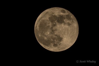 Full Moon 11-19-2021.jpg