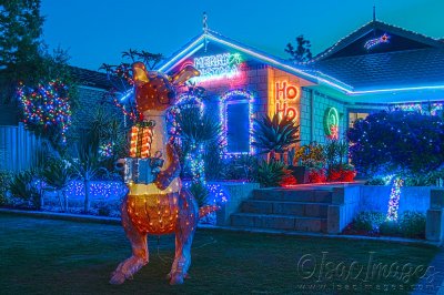 4789-Christmas_Lights.jpg