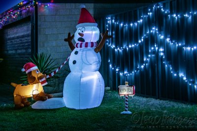 4858-Christmas_Lights.jpg