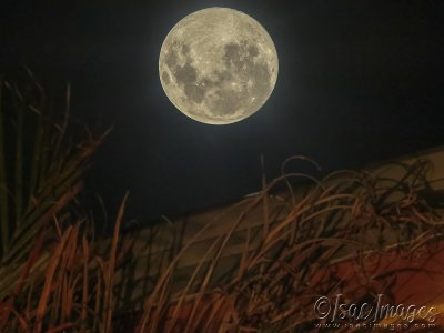 2263-Full_Moon.jpg