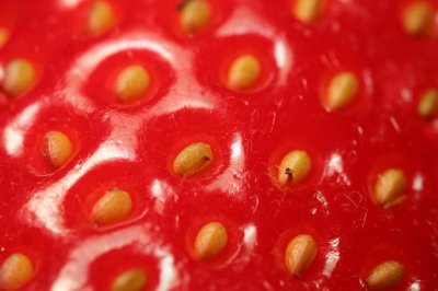 strawberry macro2.jpg