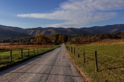 Fall Colors 2022 - Cades Cove (3 of 11).jpg