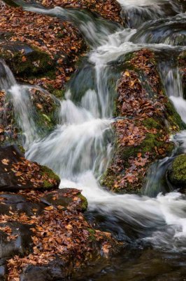 Time Lapse Water Fall_7.jpg