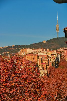 Tibidabo 3.jpg