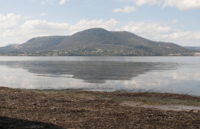 Looking East across Derwent river from Montrose Bay yacht club..jpg