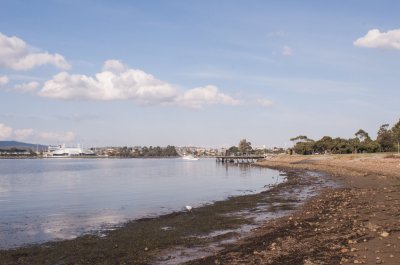 Looking South down Derwent river t Montrose Yacht club.jpg