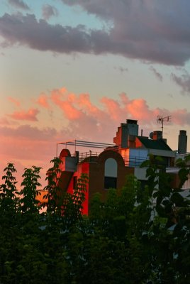 Desde mí terraza.jpg