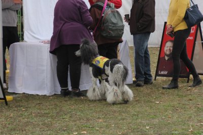IMG_0065.JPG
