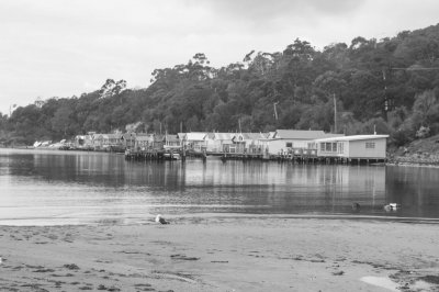 Boat shed at Cornelian Bay.jpg