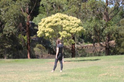 Park at Austins Ferry, Tasmania1.jpg