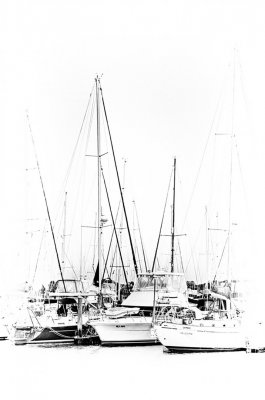 Hastings Marina.jpg