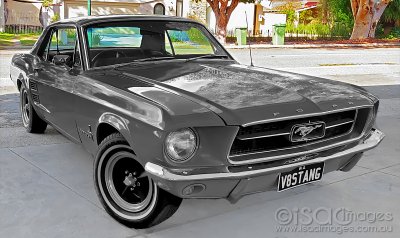 Mustang-2.jpg