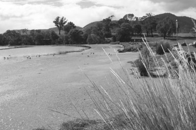 Berridale Beach.jpg