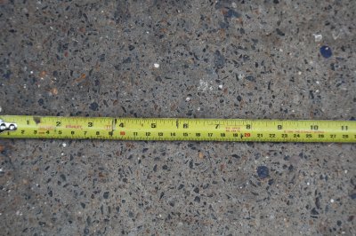 ruler55mm.jpg