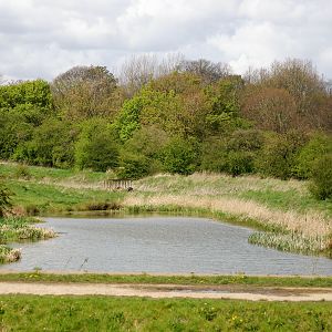 Looking Towards Stretford