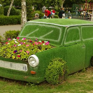 The Real Green Car