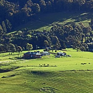 Sunlit Hill Collinsvale Viewed From Collinsvale Road Nw