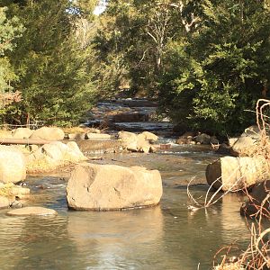 Humphrey's-Rivulet(above-waterfall)