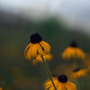 In the wind