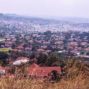 Kampala Landscapes