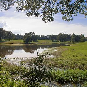 South pond