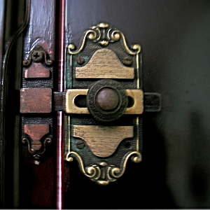 Elegant Door Lock