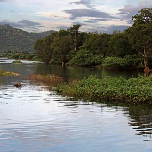 Backwaters