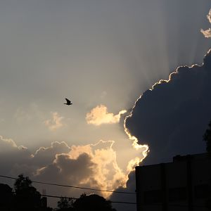 Sun, clouds and a dove