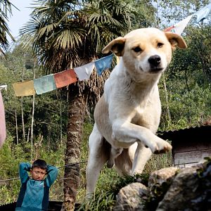 Village Life in Rampuria