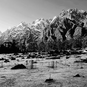 Yumthang Valley