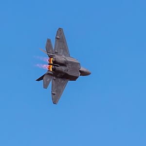 F-22 Raptor