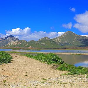 San Jacinto Wildlife Area, Riverside, California.