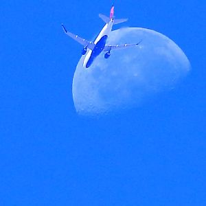 Eclipse of the moon...by an airliner.