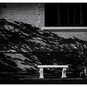 Courthouse Bench