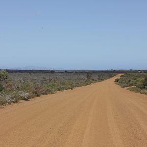 Kalbarri National Park IMG_4724