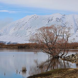 West of Tekapo