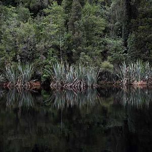 Lake Matheson